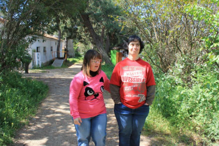 Επίσκεψη στο Κτήμα Λίτσα