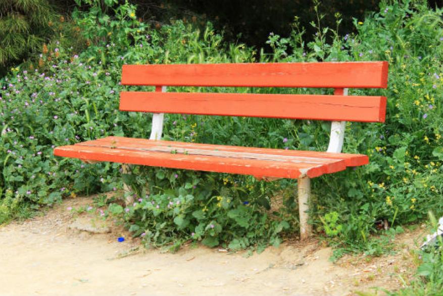 Club Φωτογραφίας Club Φωτογραφίας