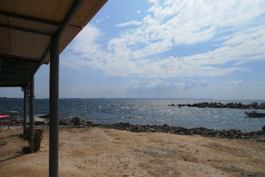 Get Involved Contest 2017