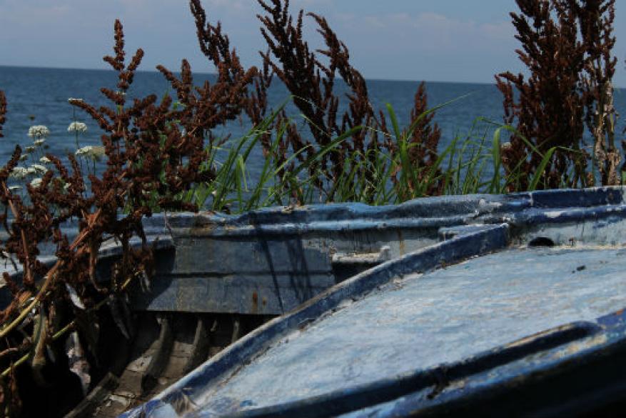 Βόλτα του Club Φωτογραφίας στην Κρήνη