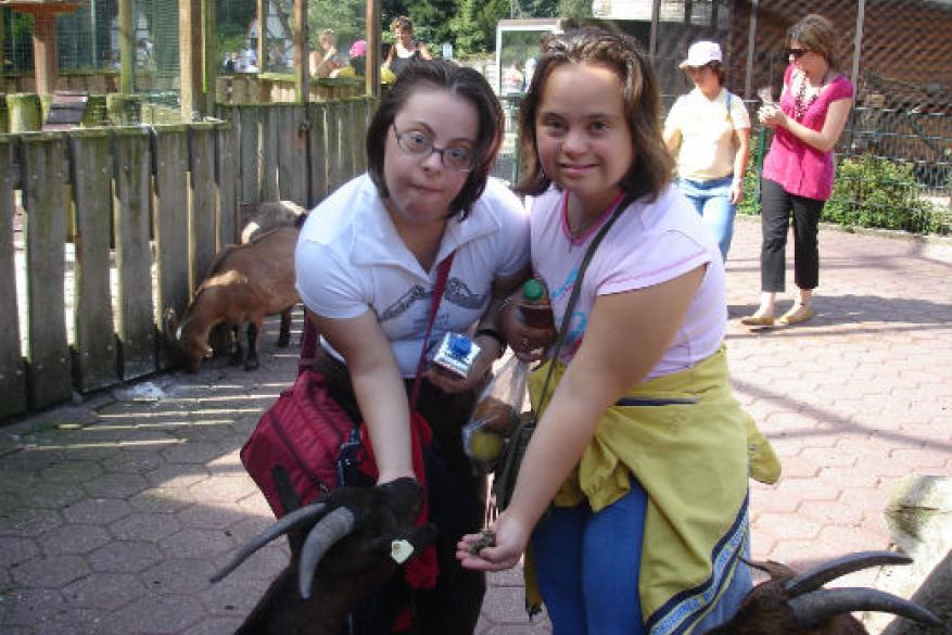 Πρόγραμμα ανταλλαγής ΑΜΕΑ (Bochum, 2008) Πρόγραμμα ανταλλαγής ΑΜΕΑ (Bochum, 2008)