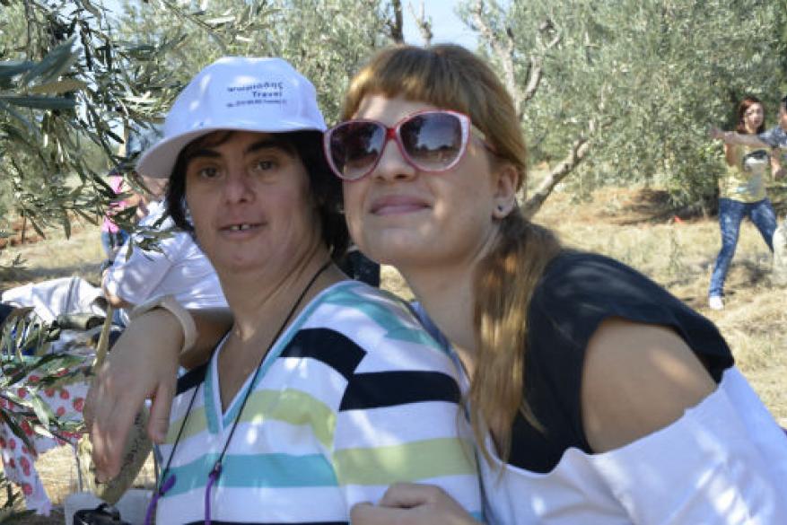 Το μάζεμα της ελιάς