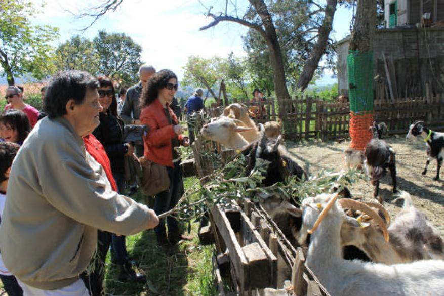 Επίσκεψη στο Κτήμα Λίτσα