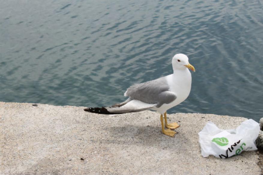 Έξοδος του Club Φωτογραφίας