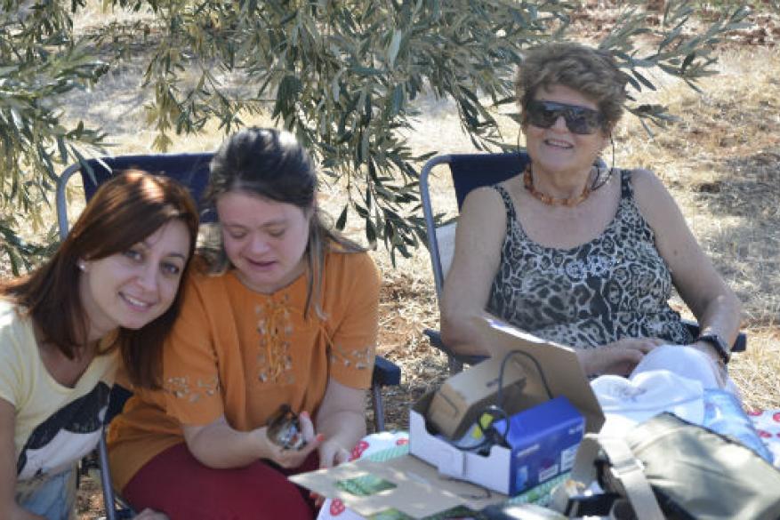 Το μάζεμα της ελιάς