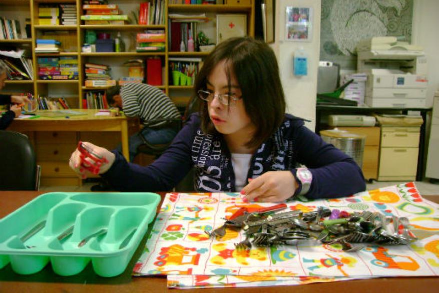 Αυτόνομη Διαβίωση (Σιδέρωμα)