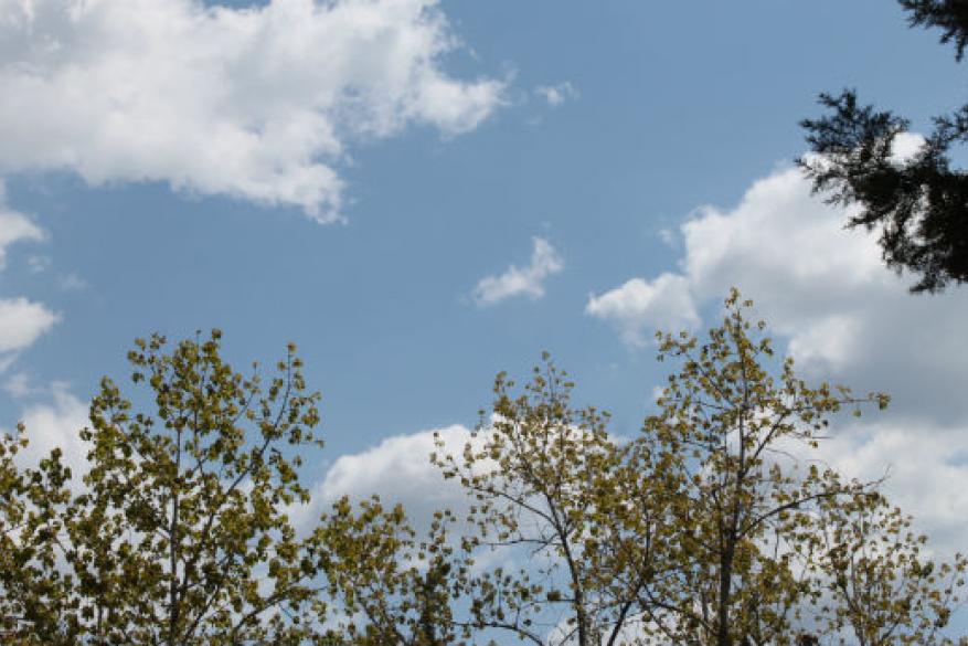 Club Φωτογραφίας Club Φωτογραφίας