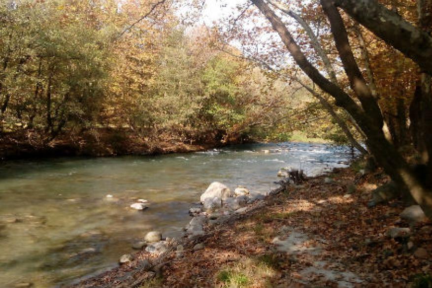 Συμμετέχω Ισότιμα