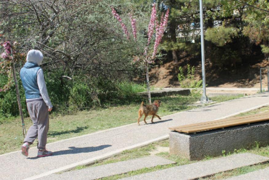 Get Involved Contest 2017