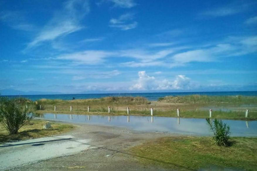 Get Involved Contest 2017