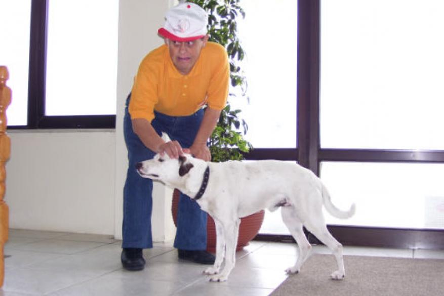 Εκδρομή στη Θάσο Εκδρομή στη Θάσο