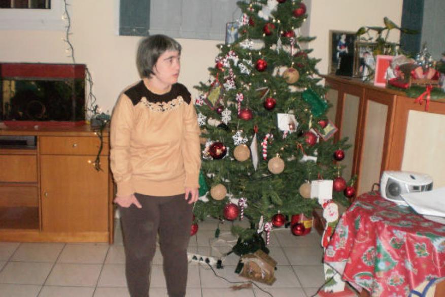 Χριστουγεννιάτικη γιορτή 2015