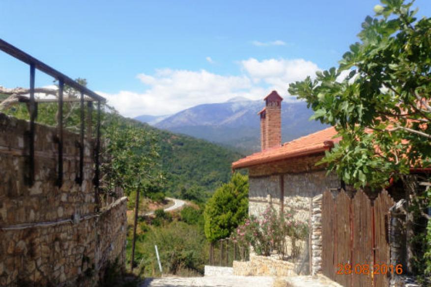 Get Involved Contest 2017