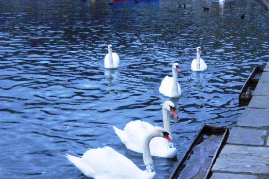 Club Φωτογραφίας Club Φωτογραφίας