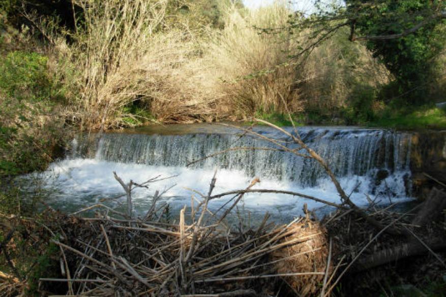 Club Φωτογραφίας Club Φωτογραφίας