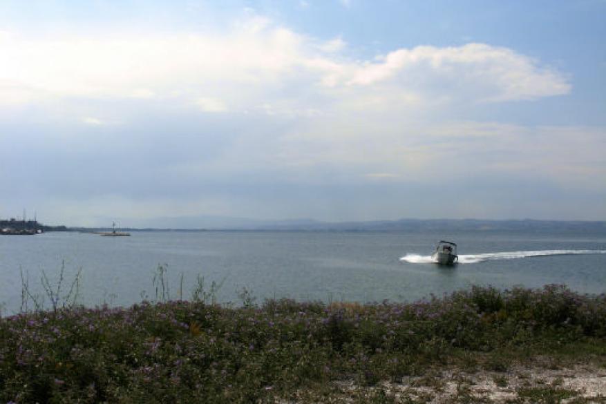 Get Involved Contest 2017