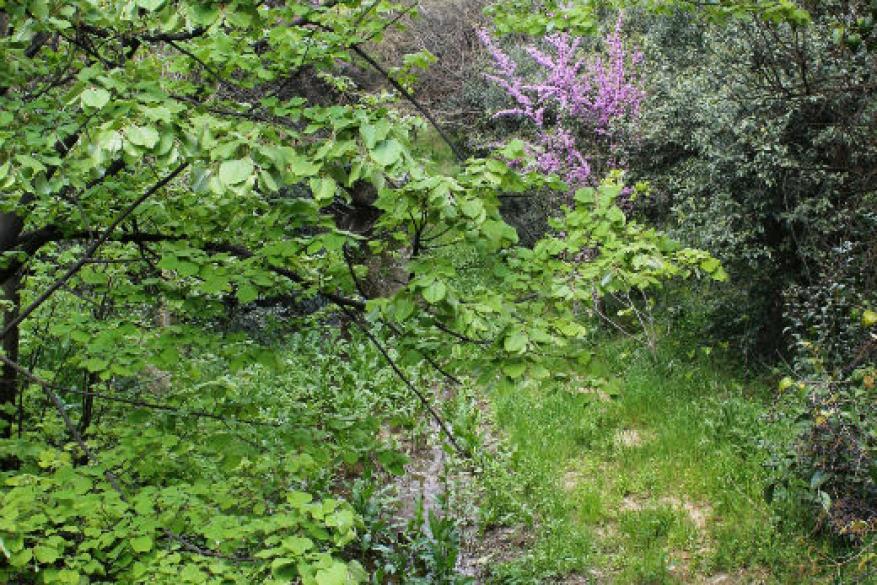 Club Φωτογραφίας Club Φωτογραφίας