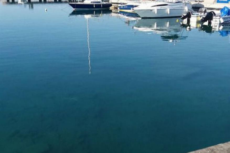 Get Involved Contest 2017