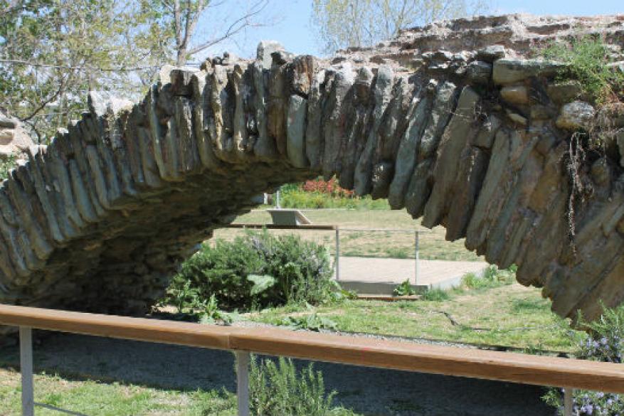 Get Involved Contest 2017