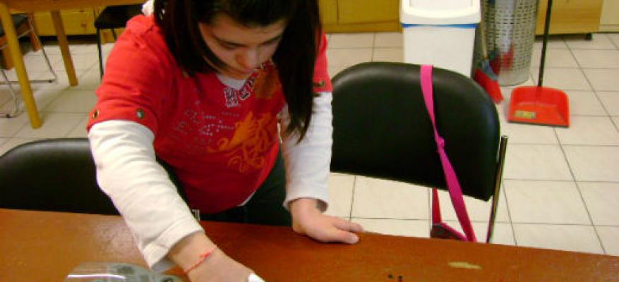 Αυτόνομη Διαβίωση (Οκτώβριος 2013) Αυτόνομη Διαβίωση (Οκτώβριος 2013)