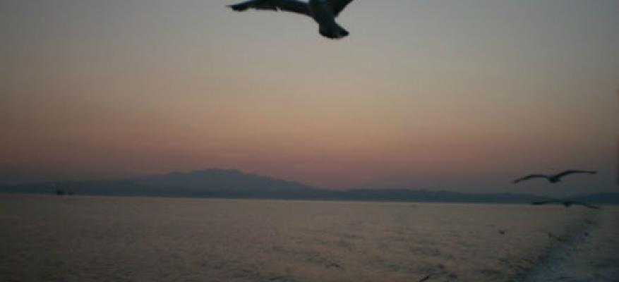 Club Φωτογραφίας Club Φωτογραφίας